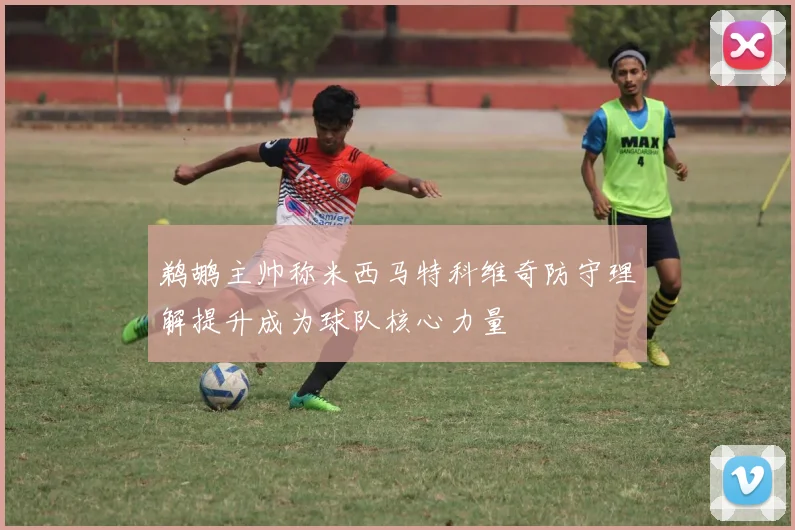 鹈鹕主帅称米西马特科维奇防守理解提升成为球队核心力量