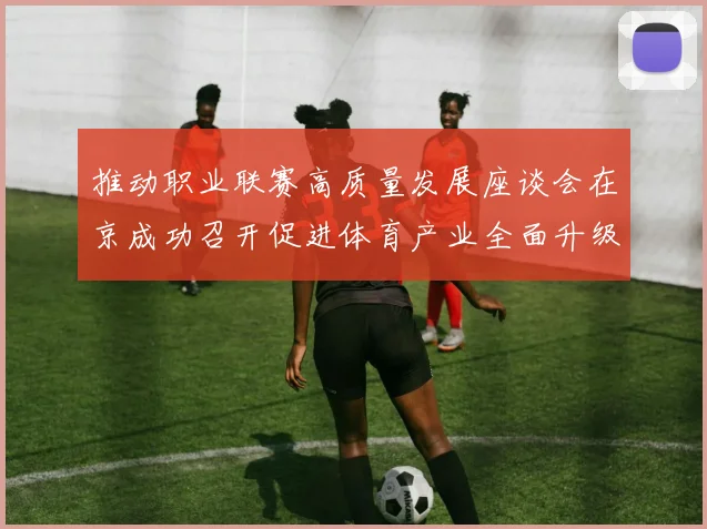 推动职业联赛高质量发展座谈会在京成功召开促进体育产业全面升级与创新发展