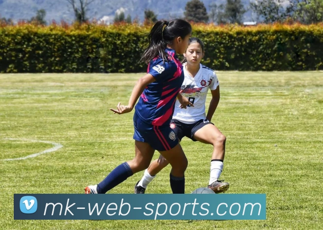 MK体育服务体系